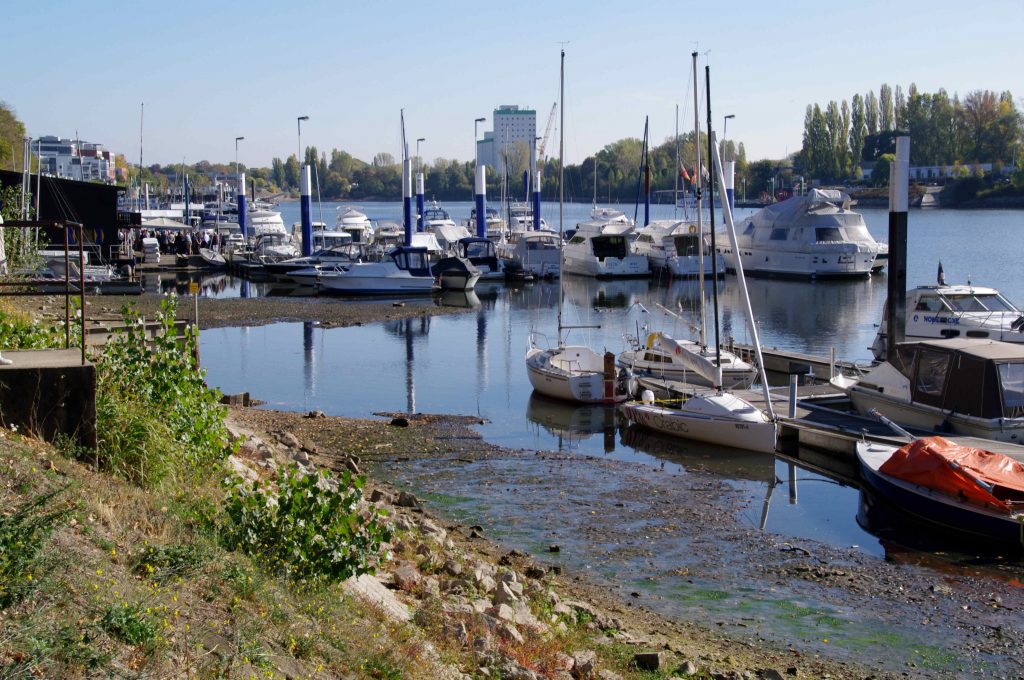 Der Steg 2 des WVS und die Mündung des Lindenbachs beim Niedrigwasser 2018 und Pegel Mainz 121 cm.