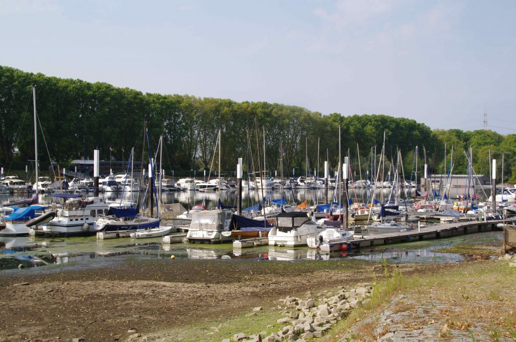 Steg 2 des WVS und Einmündung des Lindenbachs bei Niedrigwasser und Pegel Mainz 106 cm am 16. August 2026