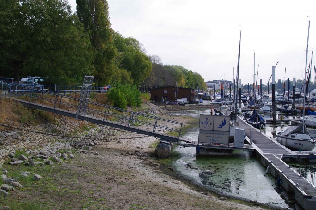 Steg 2 des WVS bei Niedrigwasser und Pegel Mainz 106 cm am 16. August 2026