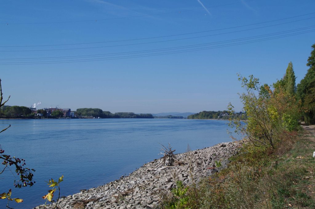 Blick auf den Rhein von der Ausfahrt des Schiersteiner Hafens bei Pegel Mainz 96 cm.